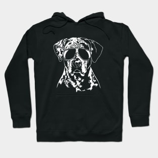 Funny Catahoula Leopard Dog with sunglasses Hoodie